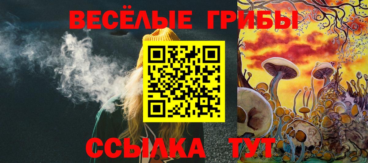 Псилоцибиновые грибы прущие грибы Асбест